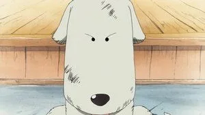 Umutsuz Durum! Hayvan Terbiyecisi Mohji, Luffy'ye Karşı!