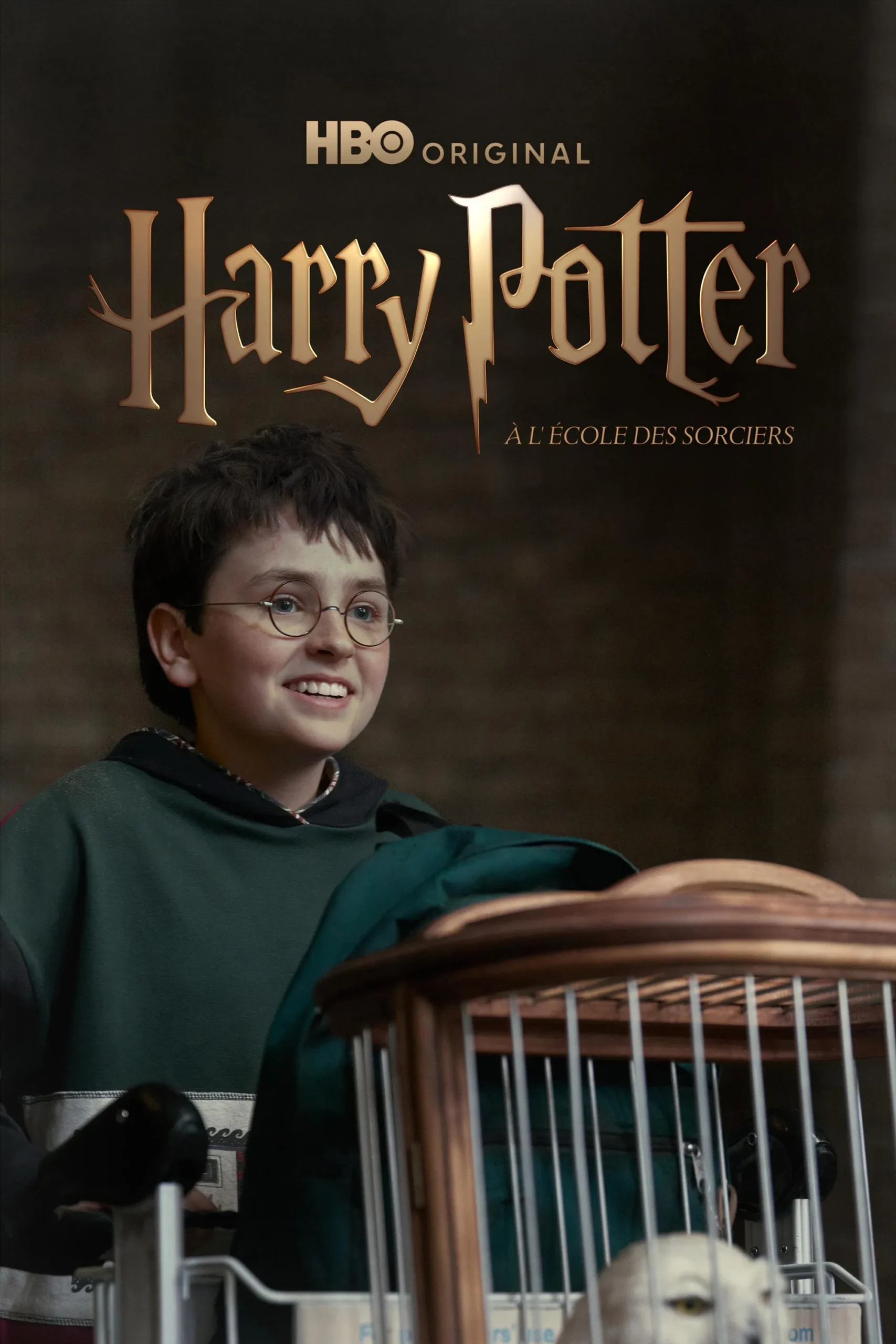 Harry Potter ve Felsefe Taşı Dizi izle